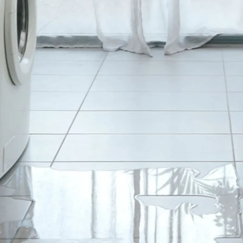 Appliance Leak Cleanup in Watts Mills, SC