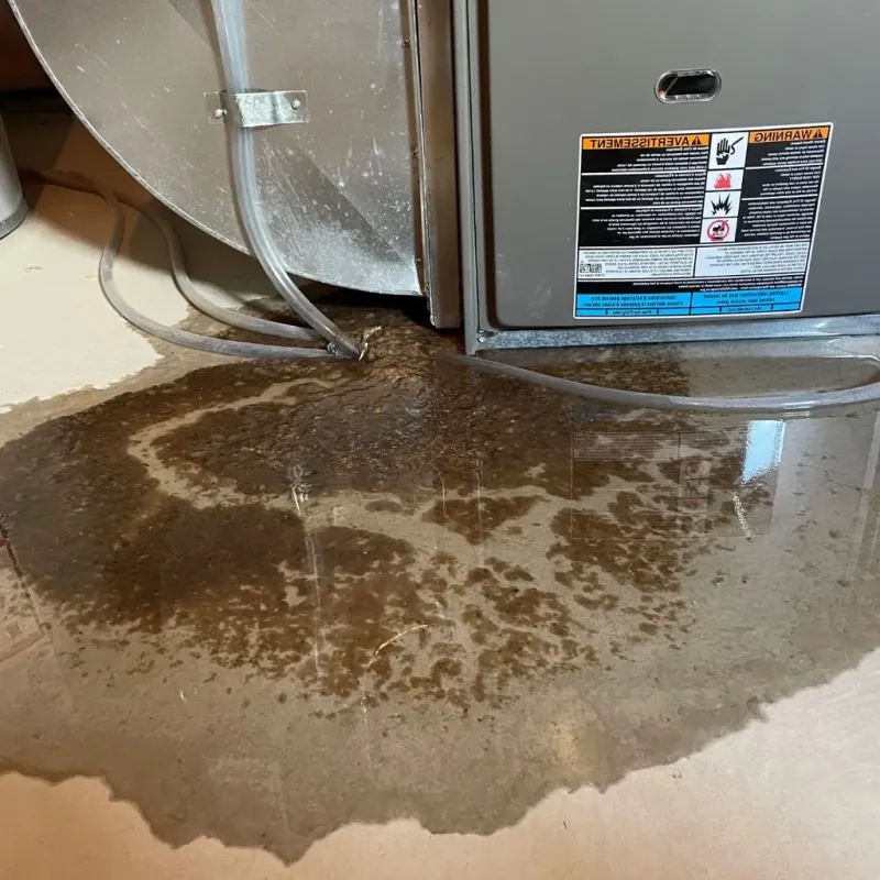 Pipe Burst and Leak Restoration in Watts Mills, SC