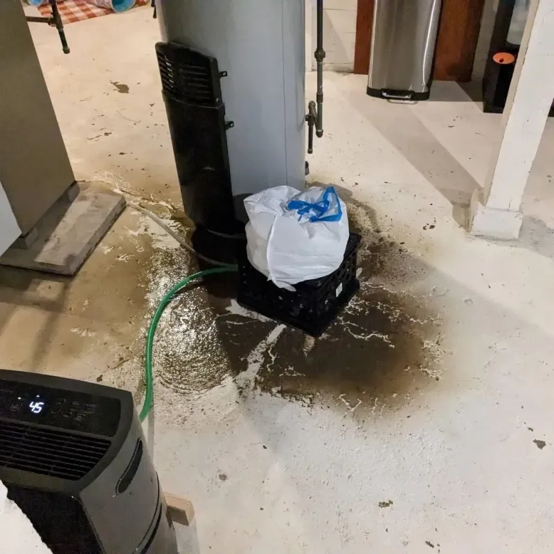 Sewage Backup Cleanup Service in Watts Mills, SC